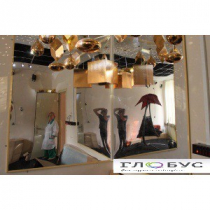 Зеркало настенное небьющееся без подсветки 169х59 см - «globural.ru» - Архангельск