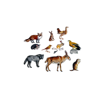 Фланелеграф "Животные степи" - «globural.ru» - Архангельск