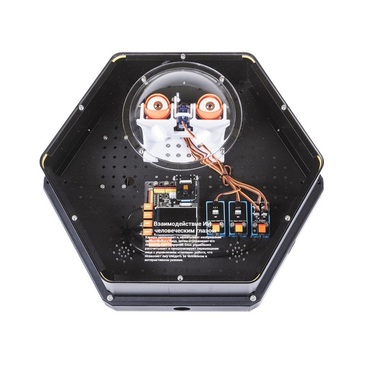 Модуль интерактивный с искусственным интеллектом "Наблюдатель" - «globural.ru» - Архангельск