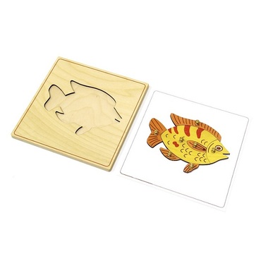 Строение рыбки с контуром - «globural.ru» - Архангельск