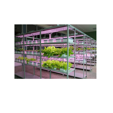 Обучающий комплект "АГРОкласс" - «globural.ru» - Архангельск