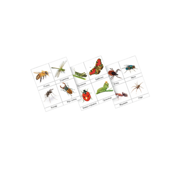 Фланелеграф "Насекомые" - «globural.ru» - Архангельск