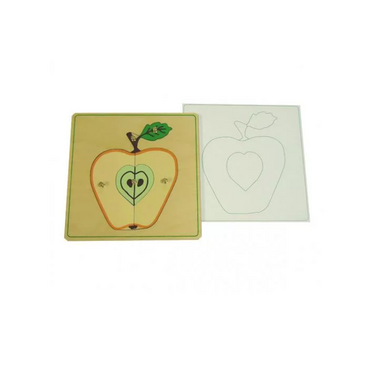 Части яблока с контуром - «globural.ru» - Архангельск