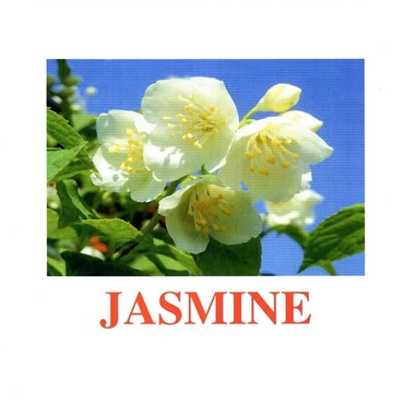 "Flowers-2" ("Цветы-2") английские карточки Домана - «globural.ru» - Архангельск