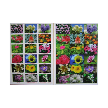 Английское лото "Цветы - травы" - «globural.ru» - Архангельск