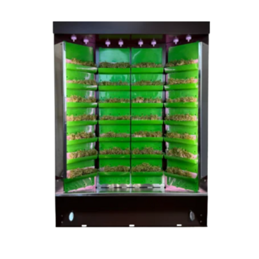 Вертикальная ферма "Моя Микрозелень" комплектация "Театро настольная" - «globural.ru» - Архангельск