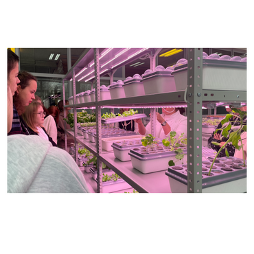 АГРОпространство для ВУЗ/СПО - «globural.ru» - Архангельск