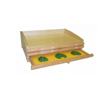 Ботанический комод. - «globural.ru» - Архангельск