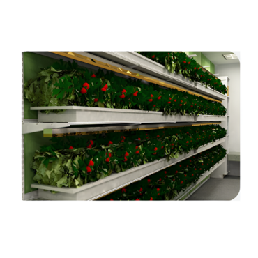 Стеллаж для выращивания клубники "Стена" - «globural.ru» - Архангельск