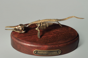 Модель скелета ихтиозавра Ichthyosaurus - «globural.ru» - Архангельск