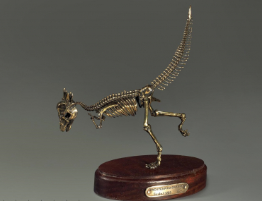 Модель скелета динозавра Pachycephalosaurus - «globural.ru» - Архангельск