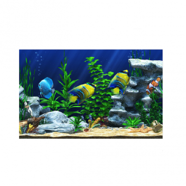 Интерактивный аттракционный комплекс "Водный мир" - «globural.ru» - Архангельск