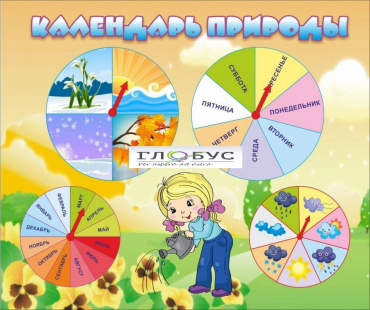 Стенд "Календарь природы" (вариант 1) - «globural.ru» - Архангельск