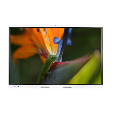 Интерактивная панель Geckotouch Interactive ​​​​​​​65SL - «globural.ru» - Архангельск