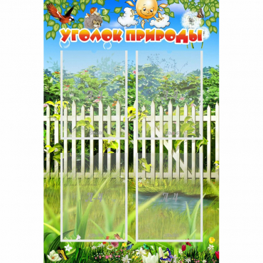 Стенд "Уголок природы" с 4 карманами - «globural.ru» - Архангельск