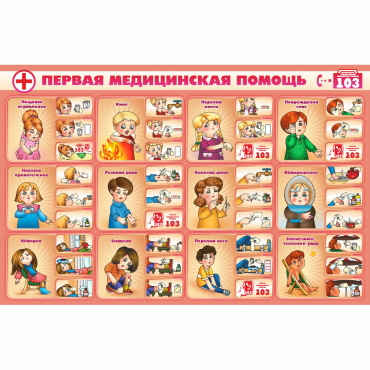 Стенд "Первая помощь" - «globural.ru» - Архангельск