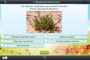 Интерактивные курсы. Окружающий мир 3 класс. Базовый - «globural.ru» - Архангельск