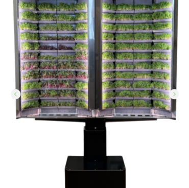 Вертикальная  ферма «Моя микрозелень» комплектация  «Театро настенная» - «globural.ru» - Архангельск