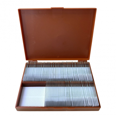 Комплект микропрепаратов по анатомии, ботанике, зоологии, общей биологии - «globural.ru» - Архангельск