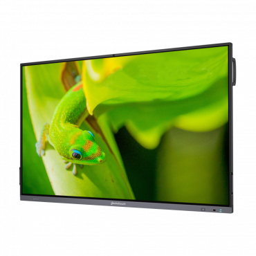 Интерактивный программно-аппаратный комплекс Geckotouch Interactive IP65GT-C в комплекте с настенным креплением - «globural.ru» - Архангельск