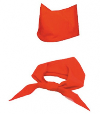 Комплект "Пионерский" пилотка+галстук - «globural.ru» - Архангельск