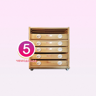 Набор психолога "Инклюзив Старт 5" - «globural.ru» - Архангельск