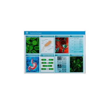 Стенд-планшет светодинамический «Изучение экологии бактерий» - «globural.ru» - Архангельск