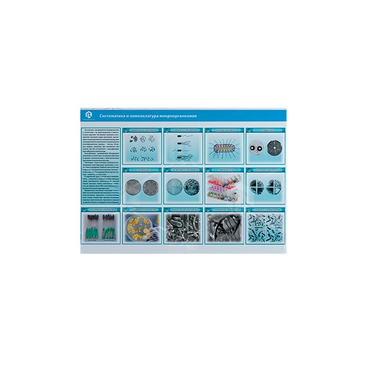 Стенд-планшет светодинамический «Изучение систематики и номенклатуры микроорганизмов» - «globural.ru» - Архангельск