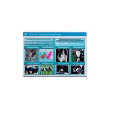 Стенд-планшет светодинамический «Изучение асептических и гнойных воспалительных процессов» - «globural.ru» - Архангельск