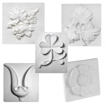 Комплект гипсовых моделей растений  - «globural.ru» - Архангельск